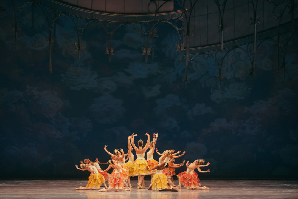 the flowers in a bloom formation