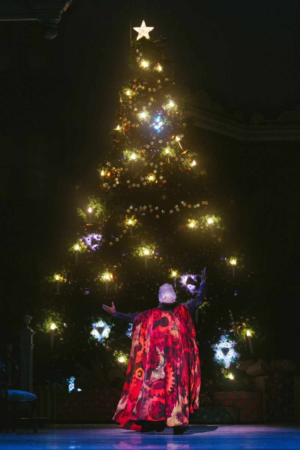 drosselmeyer envokes the magic tree