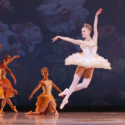 sugar plum fairy mid flight