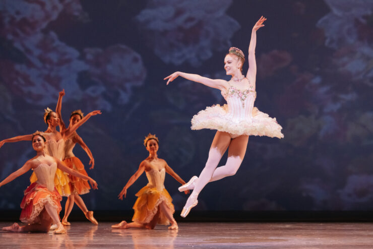 sugar plum fairy mid flight