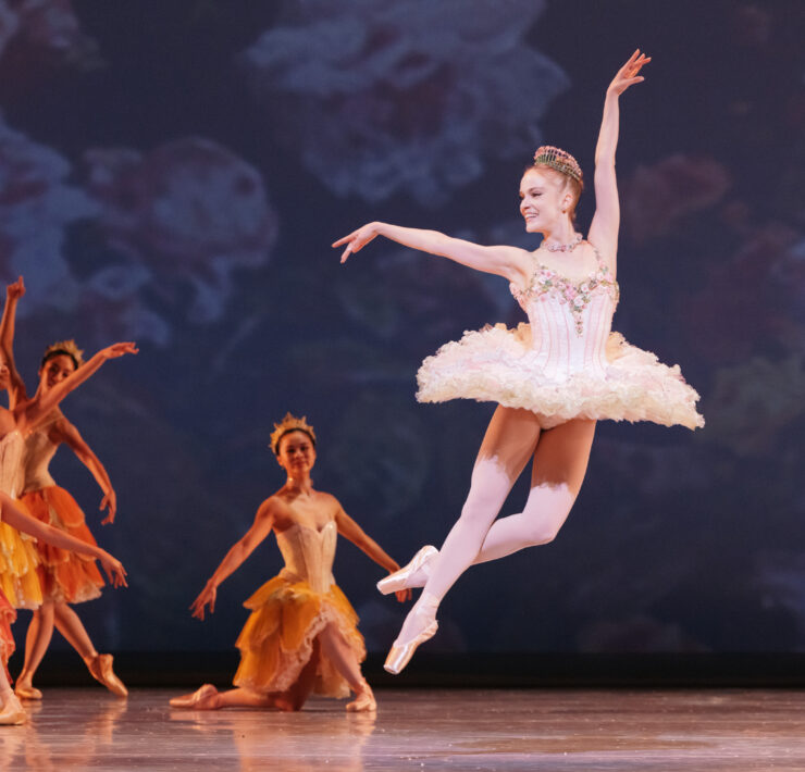 sugar plum fairy mid flight